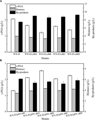 13C-Metabolic Flux Analysis Reveals the Metabolic Flux Redistribution for Enhanced Production of Poly-γ-Glutamic Acid in dlt Over-Expressed Bacillus licheniformis